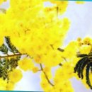 산본중심한의원 이미지