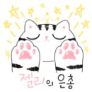 너와나동물병원 네이버블로그