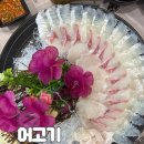 어고기