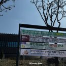 중앙도서관 | 용인 시립도서관 추천｜재개관한 용인중앙도서관 다녀온 후기