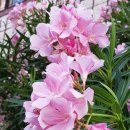 이비에스(EBS)종합학원 이미지