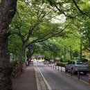 [재약산 &amp; 천황산] 첫사랑 재약산