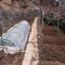 액비골(1) 이미지