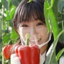 이유리농장 이미지