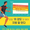 155가든 이미지