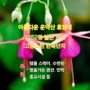 포천 민박 이미지