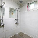 소나무숲아래 이미지