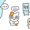 (주)티엠코
