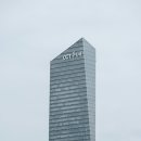 진안 인삼재배 문화 이미지