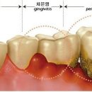 힐링힐스 동물 치과병원 이미지