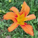 ♥ 육임으로 보는 결혼운과 궁합 - 신미일 제2국 이미지