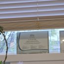 서울아름산부인과의원 | 🏥 광진구 산부인과 추천 | 루트여성의원 솔직 후기 "이 원장님 진짜 레전드입니다"