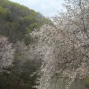 학암농장 이미지