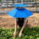 삿갓농장 이미지