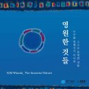 누구를 위해서가 아니라 스스로 존재하는 것들 !