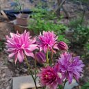 토골농장 이미지