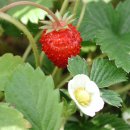 (주)허 브 이미지