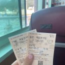 매물도윤스테이 | 통영 매물도 촌캉스 윤스테이 다녀온 후기