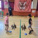 소양초병설유치원 이미지