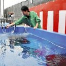 새우물식당 이미지