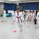 상록태권도 이미지