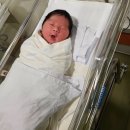 삼성열린동물약국 | 38주 강북삼성병원 유도분만 자연분만 후기
