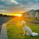 소서제주 7월3일 이미지