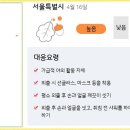 꽃;가루