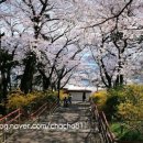 자유공원_상 이미지