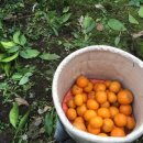 트윈하우스민박 이미지