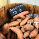 운종화장실 이미지