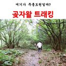 무릉2리(무릉도원마을)농촌체험휴양마을 | 무릉도원이 따로 없네? 무릉 2리 제주곶자왈 트래킹