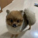 마론민박 이미지