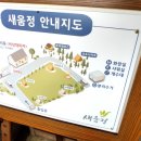 새움정