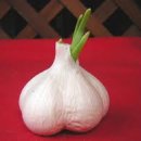 하나농자재 이미지