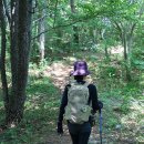 488 | [남해] 설흘산(488m) 산행후기---2025년 6월 18일(수)