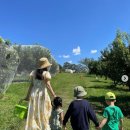 정양농장 이미지