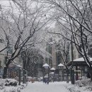 강남보석아카데미 이미지