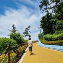 불루캠핑장 이미지