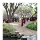 명상2008 이미지