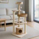 프리미엄캣 이미지