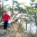 화개농장 이미지