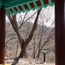 자진뱅이길 이미지