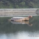 명인 태양광발전소 이미지