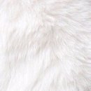 오렌지나이트 이미지