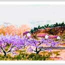 박*택 Daum카페