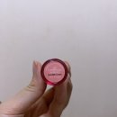 디자인알피그 | 롬앤 쥬시래스팅 틴트 20호 쥬쥬피그 후기 | 내돈내산 발색, 착색 솔직리뷰