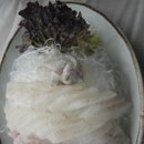 속초바다회 이미지