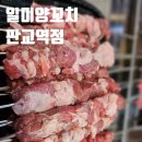 일미양꼬치 판교역점 이미지