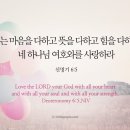 쉐마